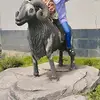 afsenaandriani