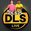 dlslive06