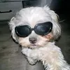 lukazqy_