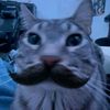 user_name6750