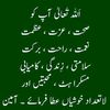 shabbirshabbir711