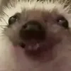 powrmuffin