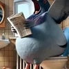 _.pigeon_.loves_.you