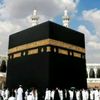 omar_shalaby3214