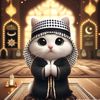 _12hasbi12_