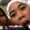 sinepaxx