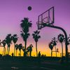oscar_basketball1