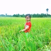 kieu180520