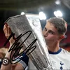 coco_bcfc_thfc