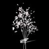 asterflowers03