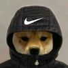 fr4nqinhojr_