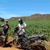 jonasvieira2710