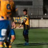 _vitoesmay