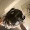 suci.slvvvyn14