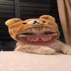 meoden6666