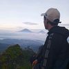 catur_ciplinkk