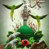 sayedraza550