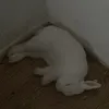 lazy.artist.ontherun