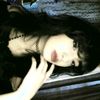 .janetk