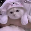 thuy102.j