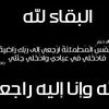 user80709346258775