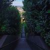 botanea.cl