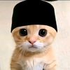 aayushytiee