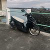 yanztrndl