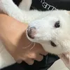 hi.karu_u