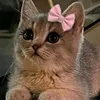 4huzi_
