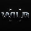 1x_wild