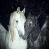 moonlz.044