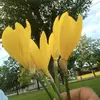 _lward_