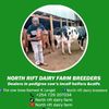 NORTH RIFT DAIRY - cow boss