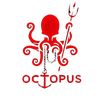 octopus.bouismail.vet