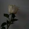 febri_mrsdi17