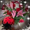 lilianaescudero0120