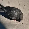 yutubeik72