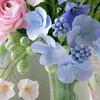 ladyjewell359