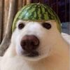 capitan_sandia21