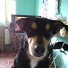 carmenrosamurillo