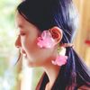 yourdriedflower