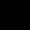 dipongaaja