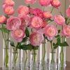 roselitabeauty