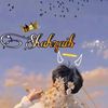 princeshahzaib.com12
