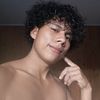pulga_cr31