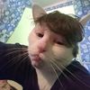maiboo911