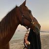 alreem9894
