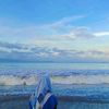 robin_22120