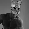 gregory_de_fnaf1